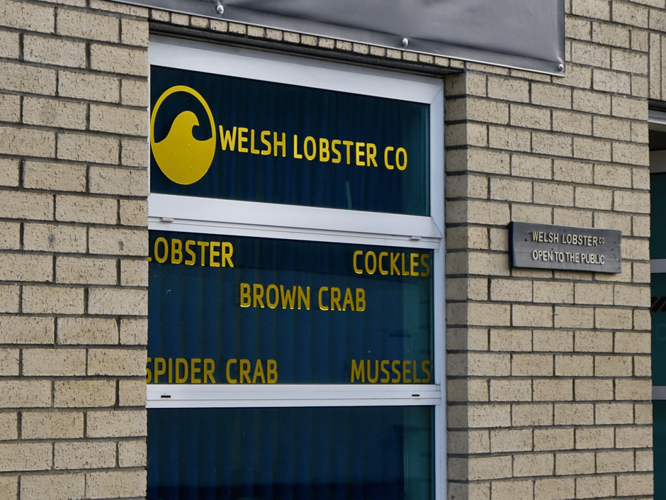 Signs in the window of the Welsh Lobster Company.