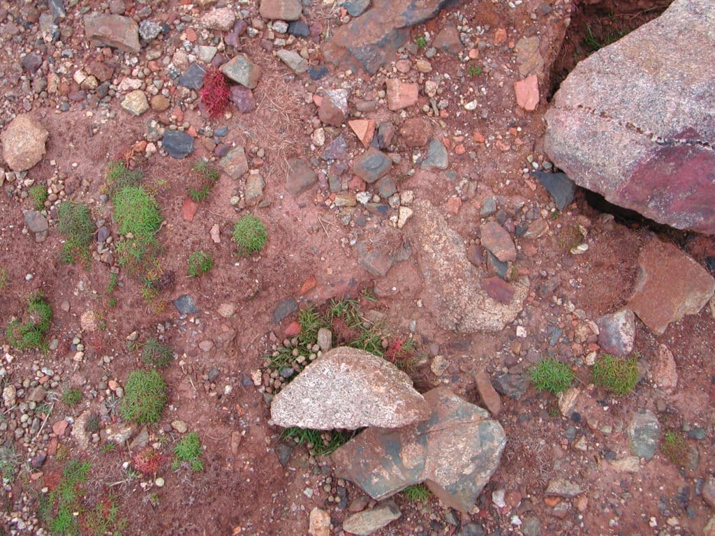 The red and rocky surface of the Botallack mines in Cornwall